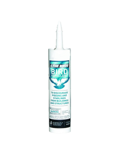 4 The Birds